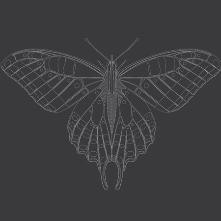 Luis Ramirez Assymetrical Vector Art