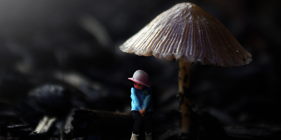 Photography Composition by Luis Ramirez